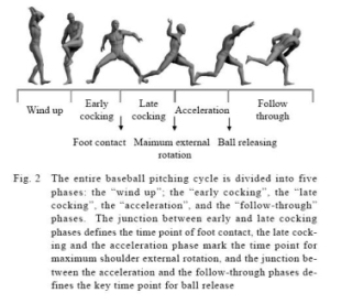 The Baseball Pitching Cycle
