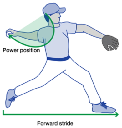 Mayo Clinic Power Position